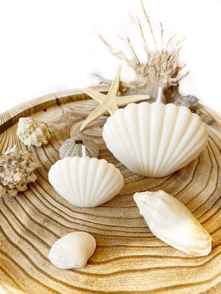 Shells